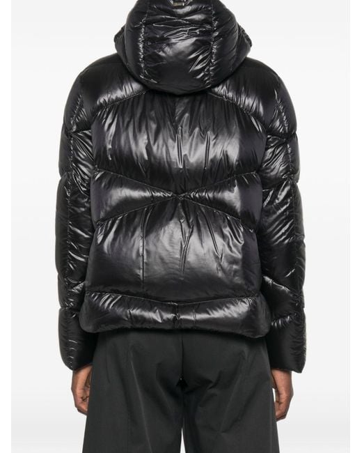 Herno Black Short Down Jacket