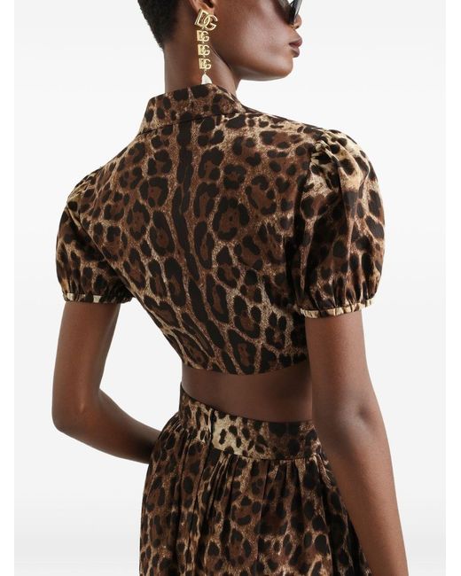Dolce & Gabbana Brown Leo Print Cotton Shirt