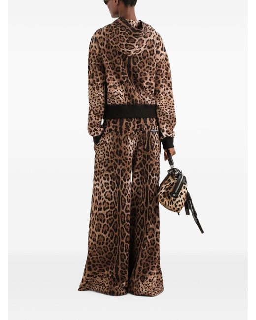 Dolce & Gabbana Brown Leo Print Cotton Hoodie
