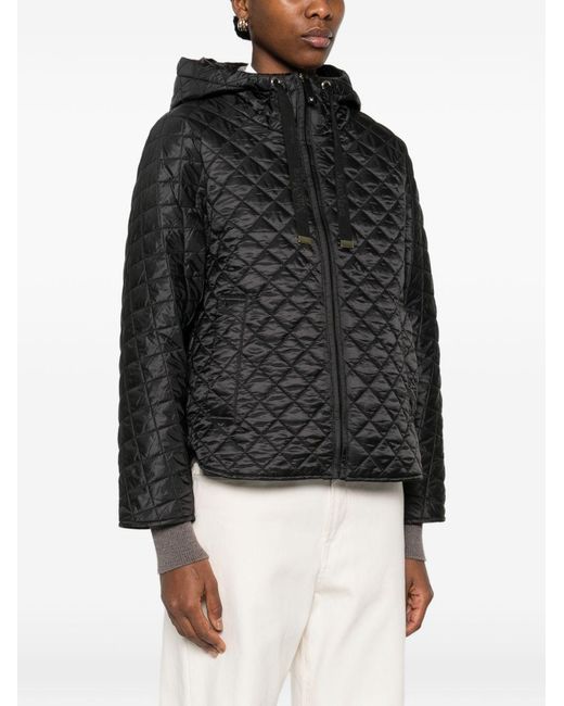Max Mara Black Padded Blouson Jacket