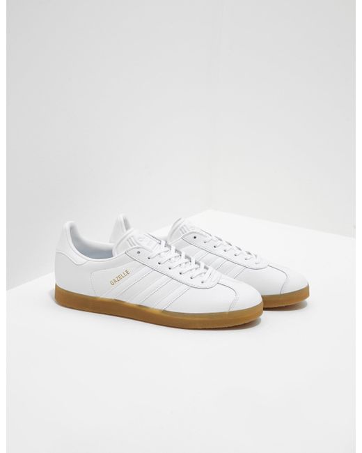 jd mens gazelles