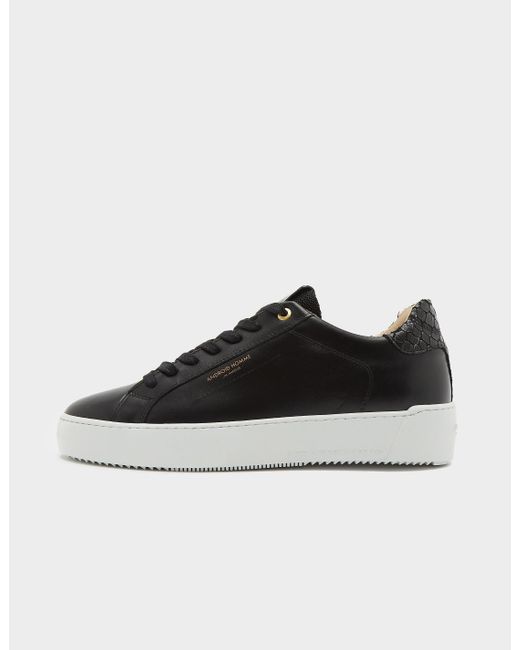android homme zuma trainers