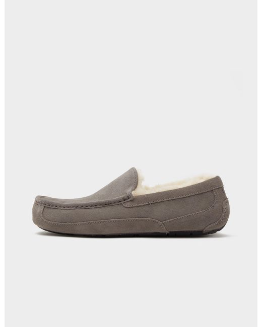 UGG Suede Ascot Slippers in Grey (Gray) for Men Lyst