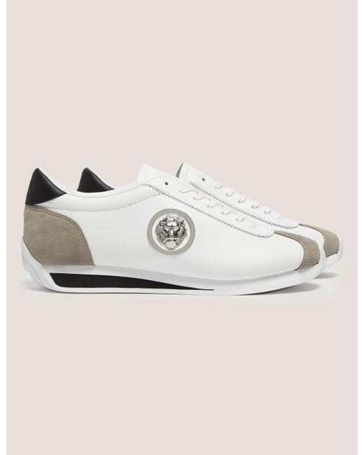 versace lion head trainers