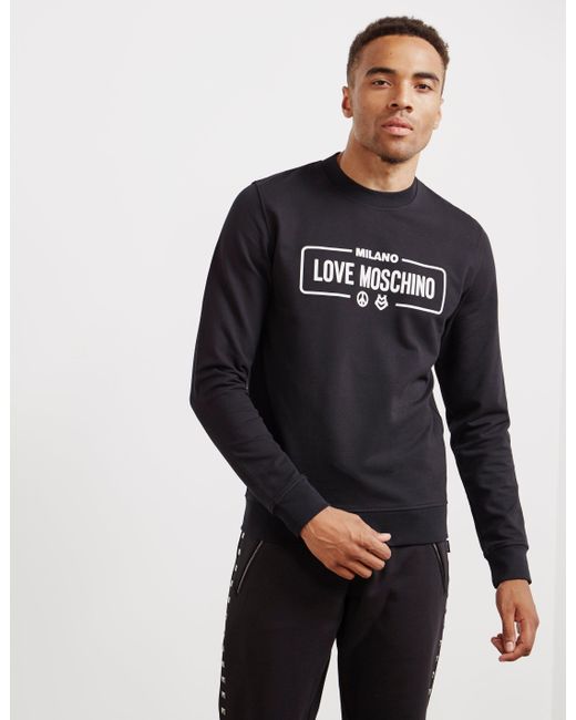 guess how much i love you audio