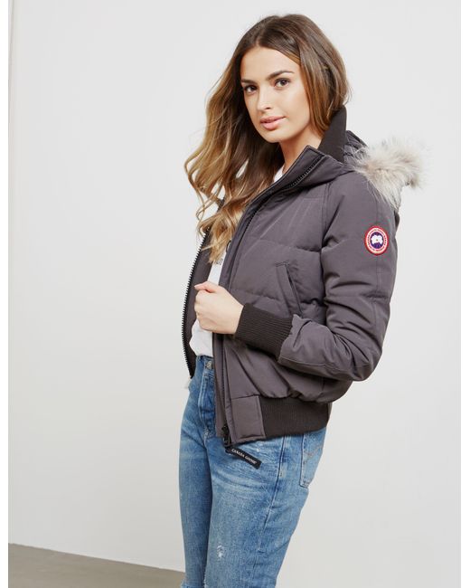 Canada Goose Goose Womens Savona Padded Bomber Jacket Grey in Gray | Lyst