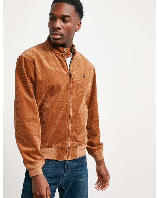 Polo Ralph Lauren Cord Baracuda Jacket - Online Exclusive Tan in Brown for  Men | Lyst