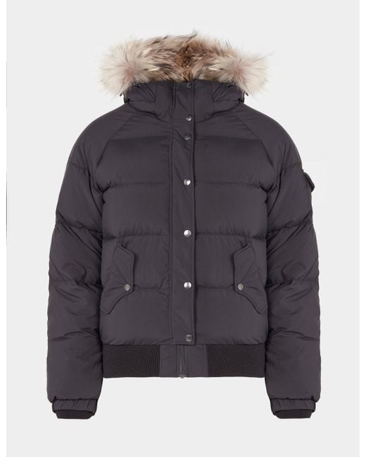 Pyrenex Fur Aviator Bomber Jacket in Black Lyst