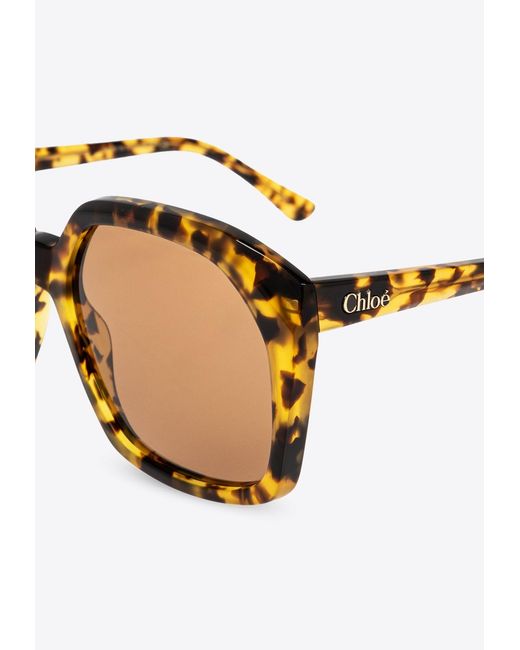 Chloé Natural Sunglasses Salome