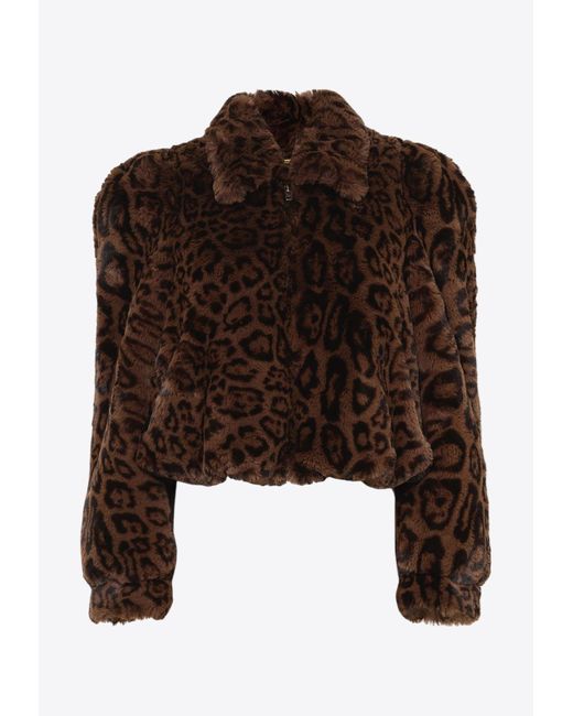 Chloé Brown Leopard Print Faux Fur Cropped Jacket