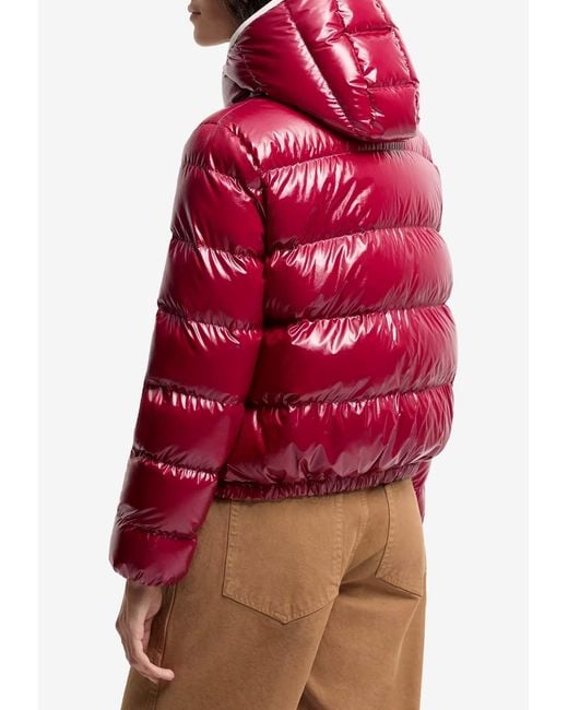 Moncler Red Andro Down Jacket