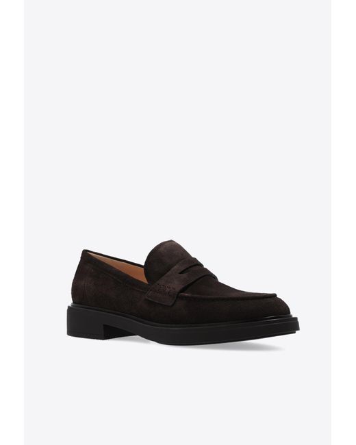 Gianvito Rossi Black Harris Suede Loafers