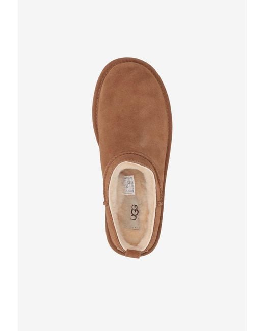 Ugg Brown Classic Micro Suede Slippers