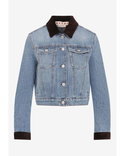 Marni Blue Velvet-Detail Denim Jacket