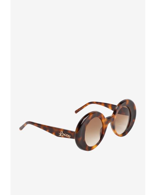 Loewe Brown Round Acetate Sunglasses