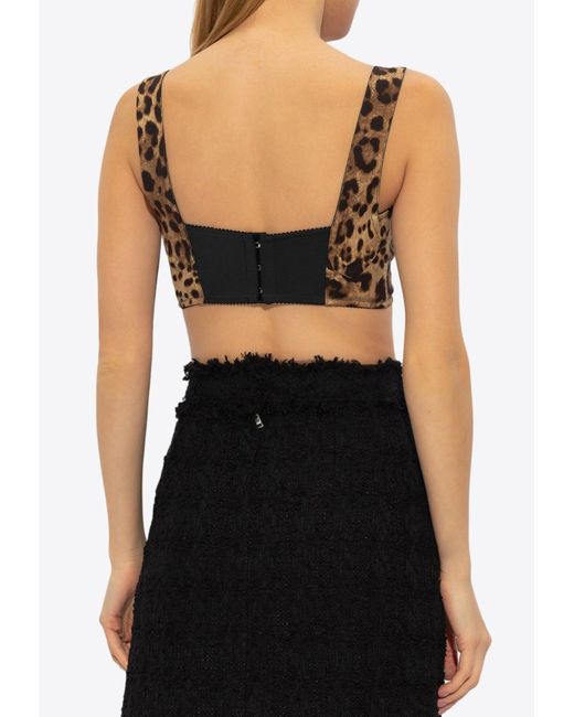 Dolce & Gabbana Brown Leopard Print Bustier Cropped Top