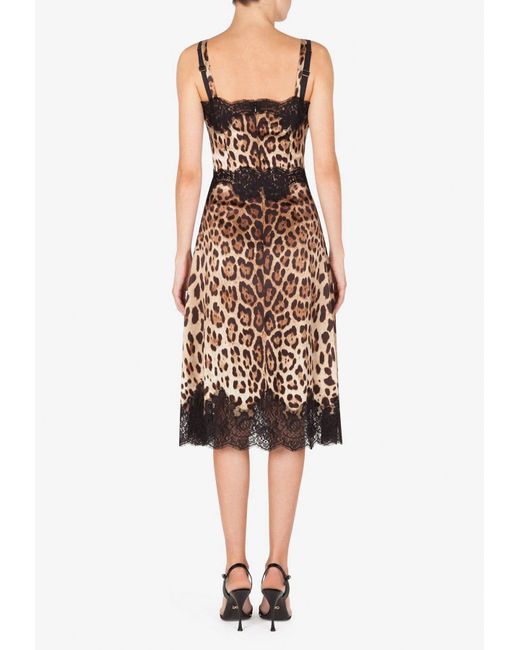 Dolce & Gabbana Brown Leopard Print Satin Dress With Lace Trims