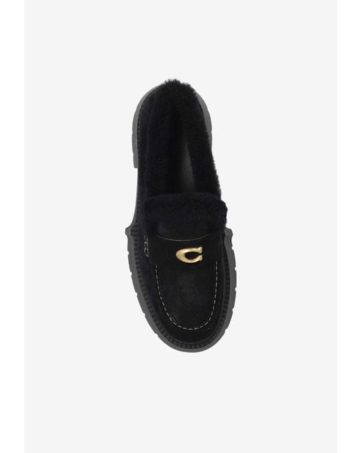 COACH Black Leah Suede Platform Loafers