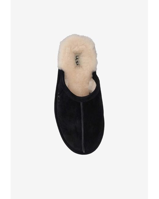 Ugg Black Scuff Suede Slippers for men
