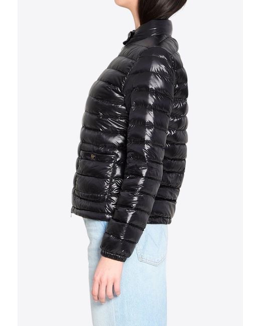 Herno Black High-Neck Down Jacket