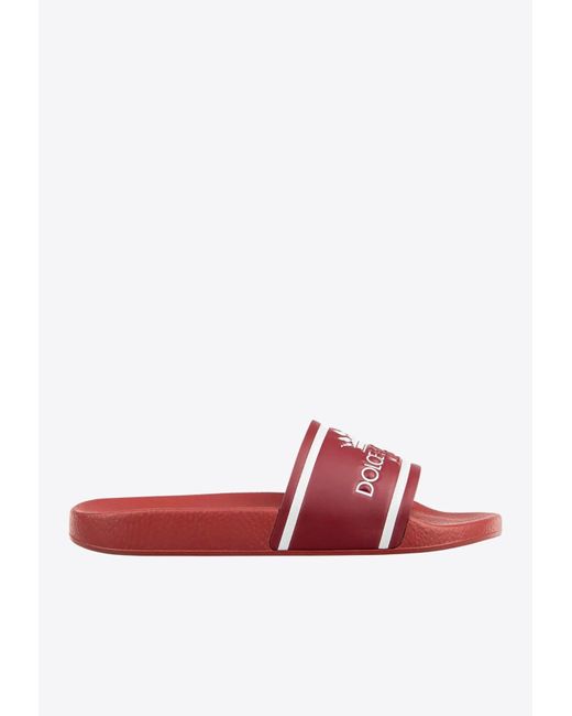Dolce & Gabbana Red Crown Logo Leather Slides for men