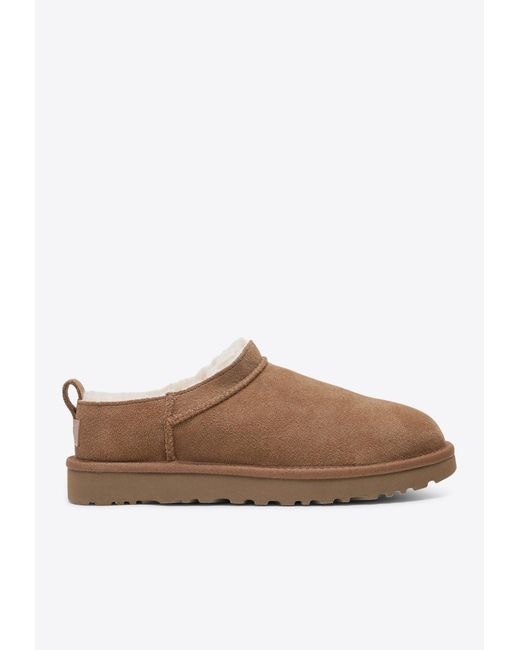Ugg Brown Classic Micro Suede Boots