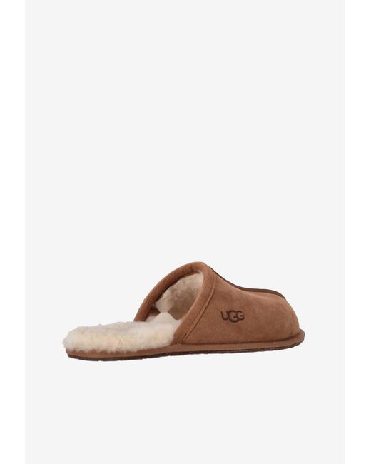 Ugg Brown Scuff Suede Slippers for men