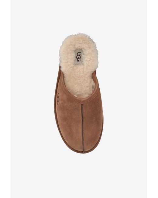 Ugg Brown Scuff Suede Slippers for men