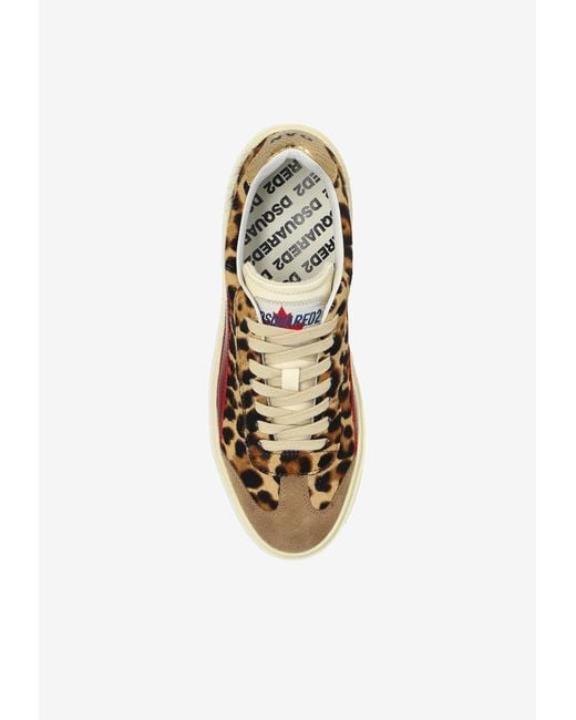 DSquared² Brown Rider Leopard Print Sneakers