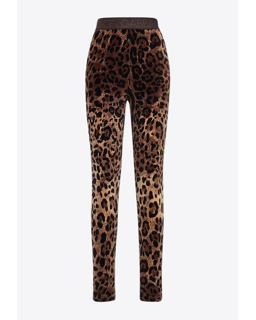 Dolce & Gabbana Brown Leopard Print Jacquard Leggings
