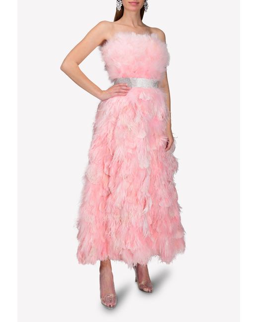 Dolce & Gabbana Pink Crystal And Feather-embellished Silk-organza Gown