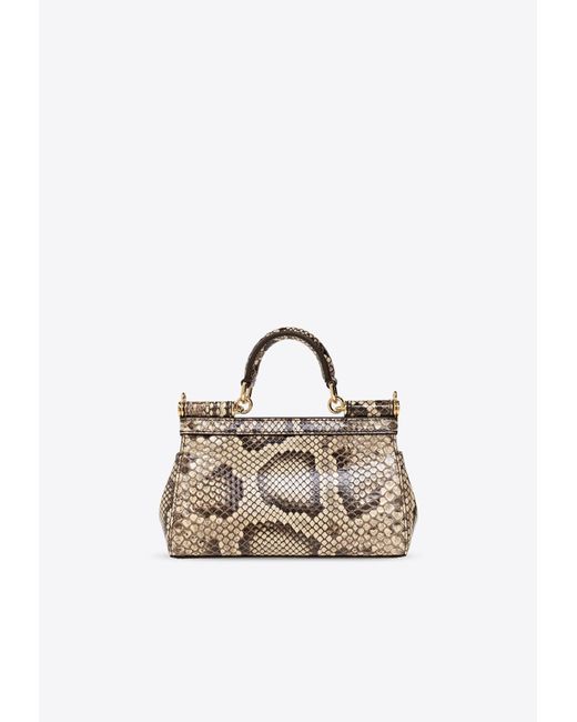 Dolce & Gabbana Natural Small Sicily Python-Skin Top Handle Bag