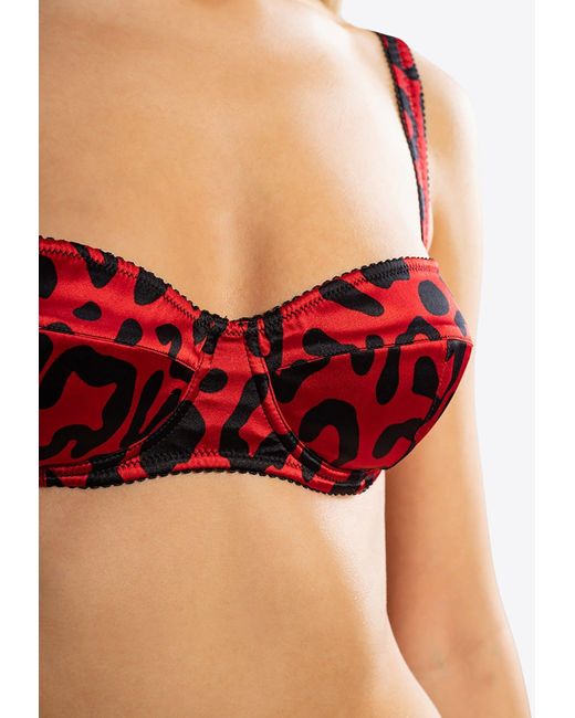 Dolce & Gabbana leopard-print balconette bra, Red