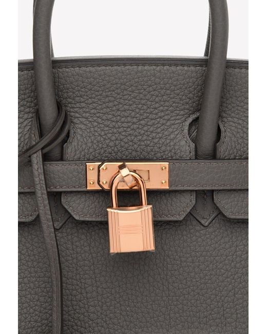 Hermès Birkin 25 Top Handle Bag In Etain Togo With Rose Gold