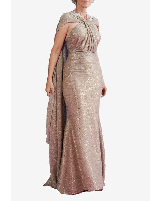 Talbot Runhof Metallic Evening Dress With Cape in Brown | Lyst