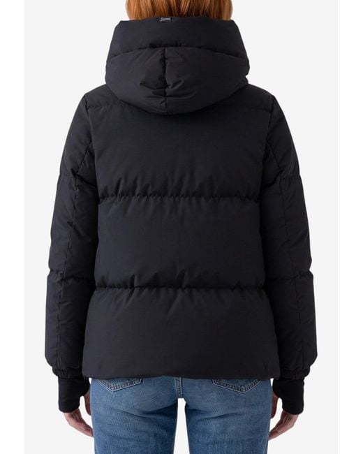 Herno Black Windstopper 2-Layer Puffer Jacket
