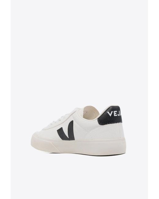 Veja White Campo Leather Sneakers
