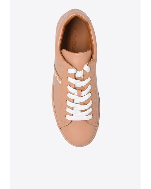 See By Chloé Brown Logoed Low-Top Leather Sneakers