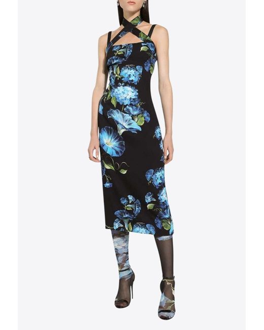 Dolce & Gabbana Bluebell Print Midi Dress