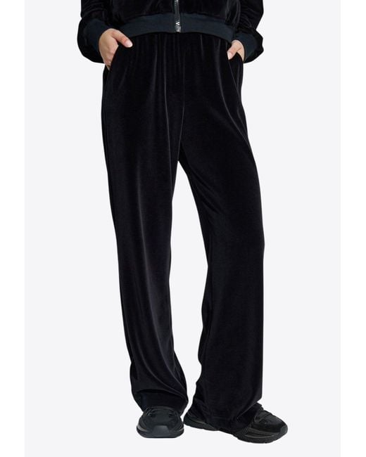 Dolce & Gabbana Black Dg Logo Velvet Pants