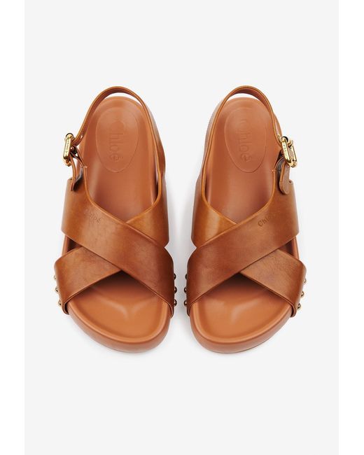 Chloé Brown Mae Sandal