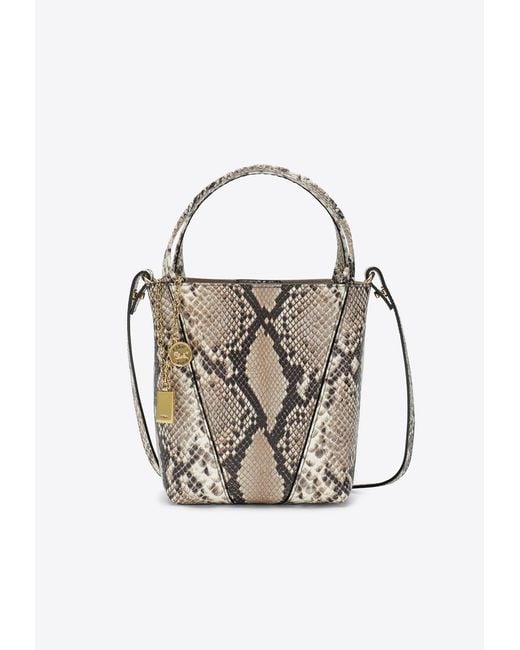 Chloé Natural Small Spin Python Print Leather Shoulder Bag