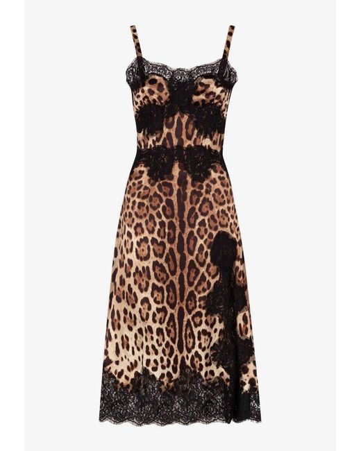 Dolce & Gabbana Brown Leopard Print Satin Dress With Lace Trims