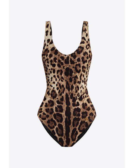 Dolce & Gabbana Brown Leopard Print One-Piece Swimsuit