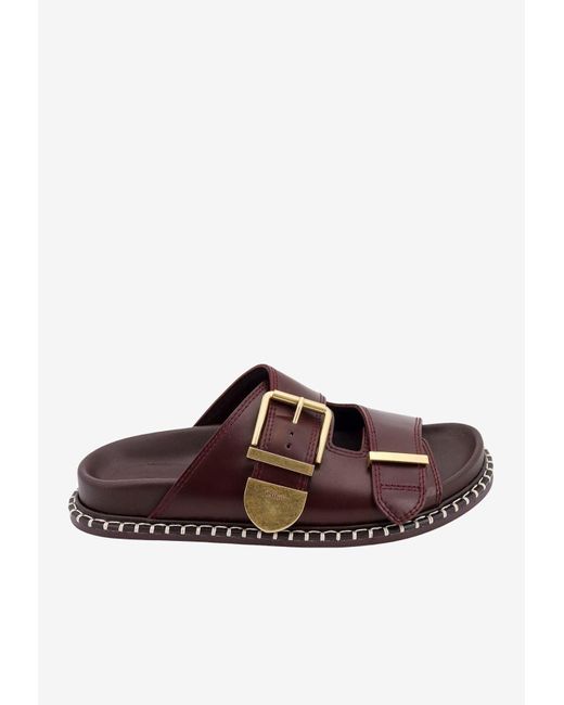 Chloé Brown Rebecca Oversized Buckle Leather Slides