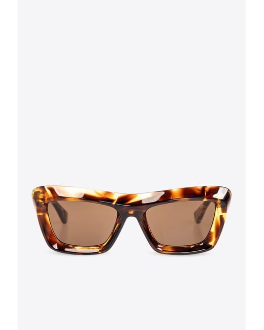 Bottega Veneta Brown Classic Cat-Eye Sunglasses