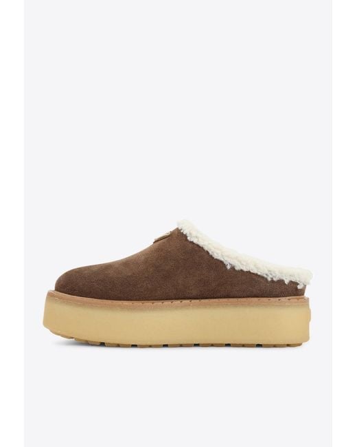 Prada Brown Triangle Logo Suede Flatform Mules