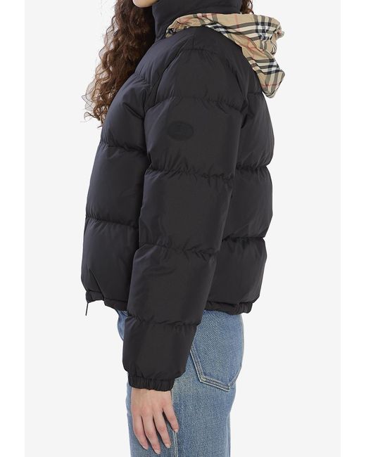 Burberry Black Puffer Jacket With Concealed Hood