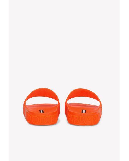 Dolce & Gabbana Orange Sliders