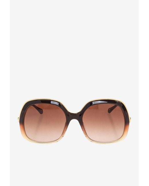Chloé Brown Leia Round Sunglasses